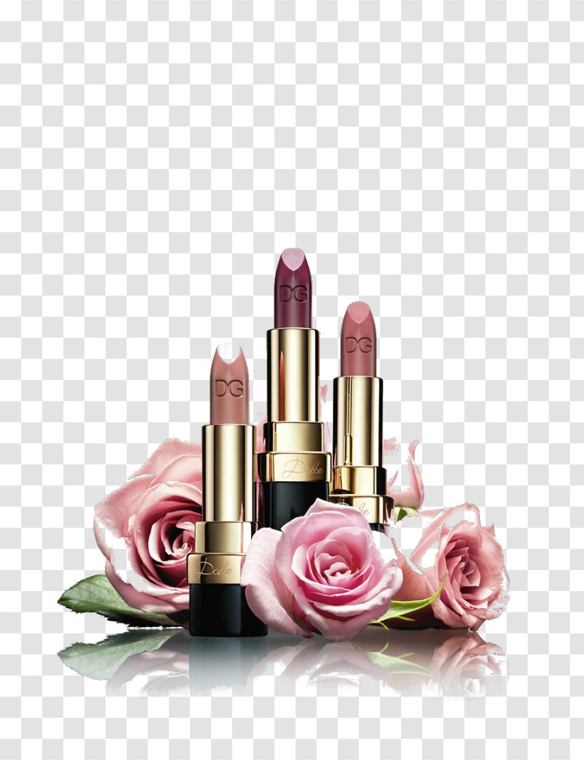 Lipstick Cosmetics Still Life Photography Dolce & Gabbana - & Transparent PNG