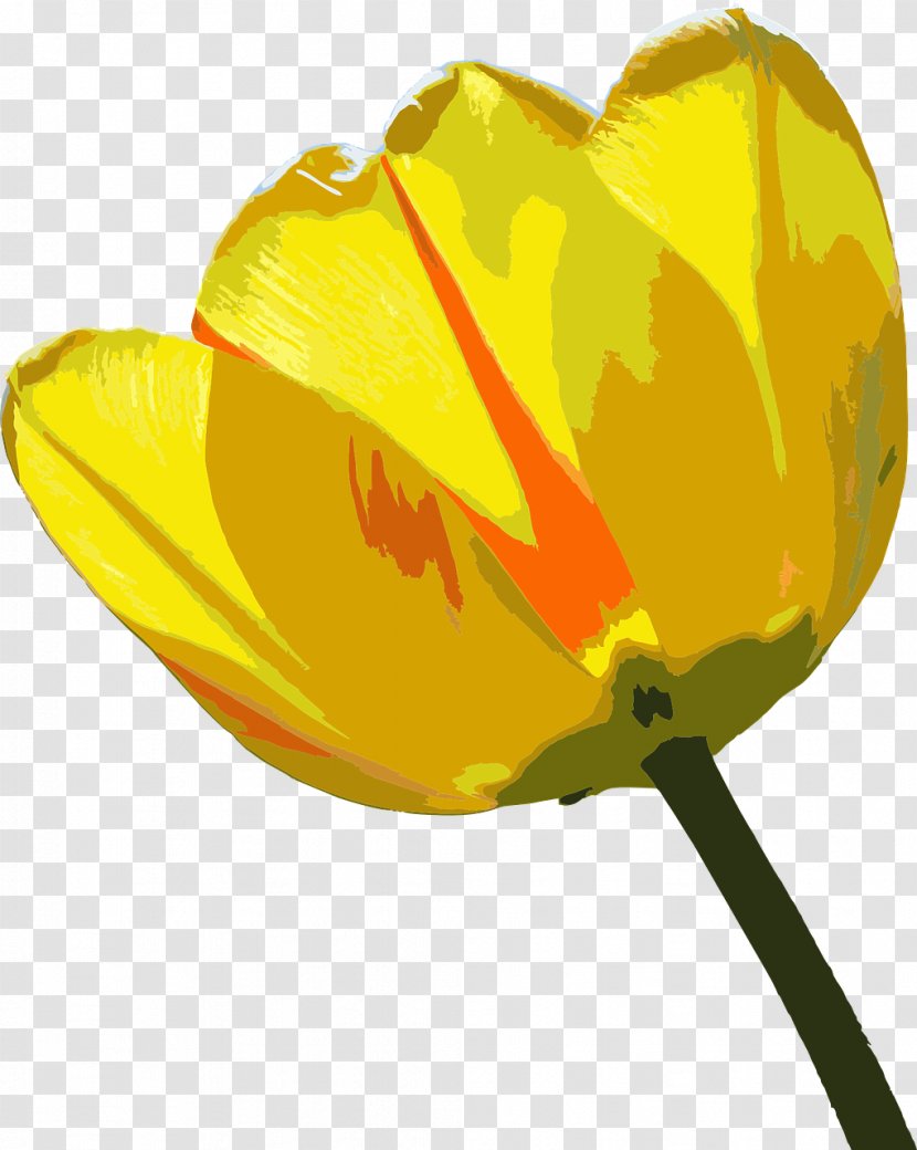 Tulip Flower Clip Art - Lilium Transparent PNG
