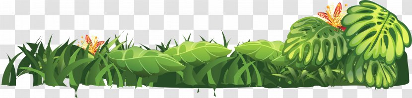 Wheatgrass Leaf Commodity Plant Stem Tree Transparent PNG