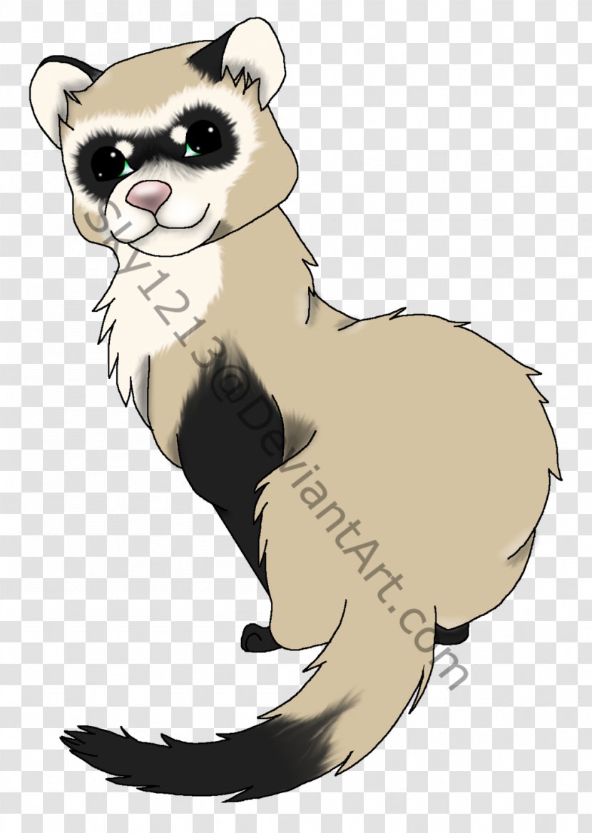 Black-footed Ferret Cat Drawing Dog - Vertebrate Transparent PNG