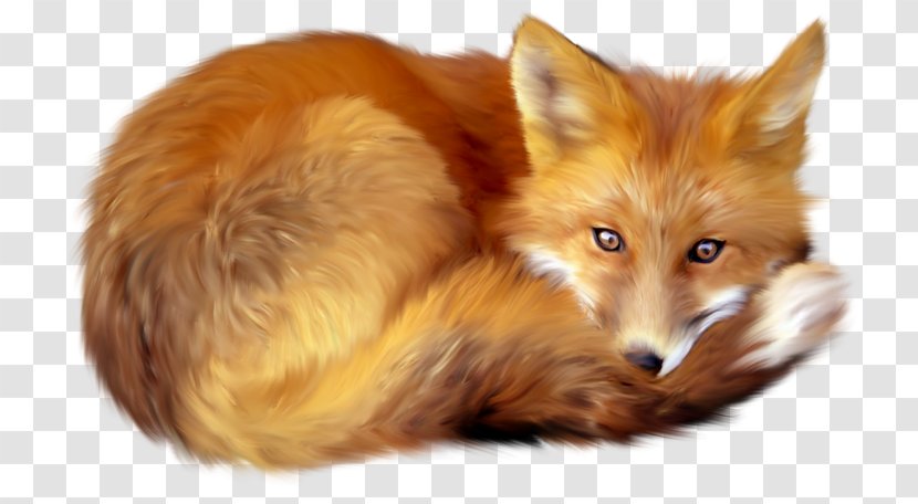Fox Clip Art - Image Resolution Transparent PNG