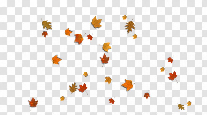 Autumn Leaf Color Desktop Wallpaper - Maple - Sunflower Transparent PNG