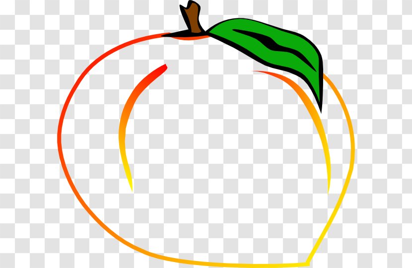 Circle Area Tree Yellow - Organism - Peach Branch Transparent PNG