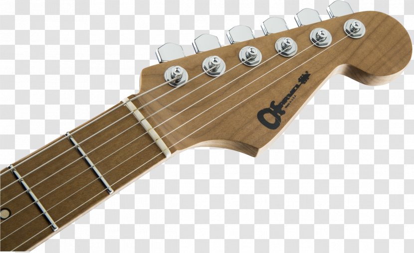 Fender Musical Instruments Corporation Stratocaster Guitar Squier - Tree Transparent PNG