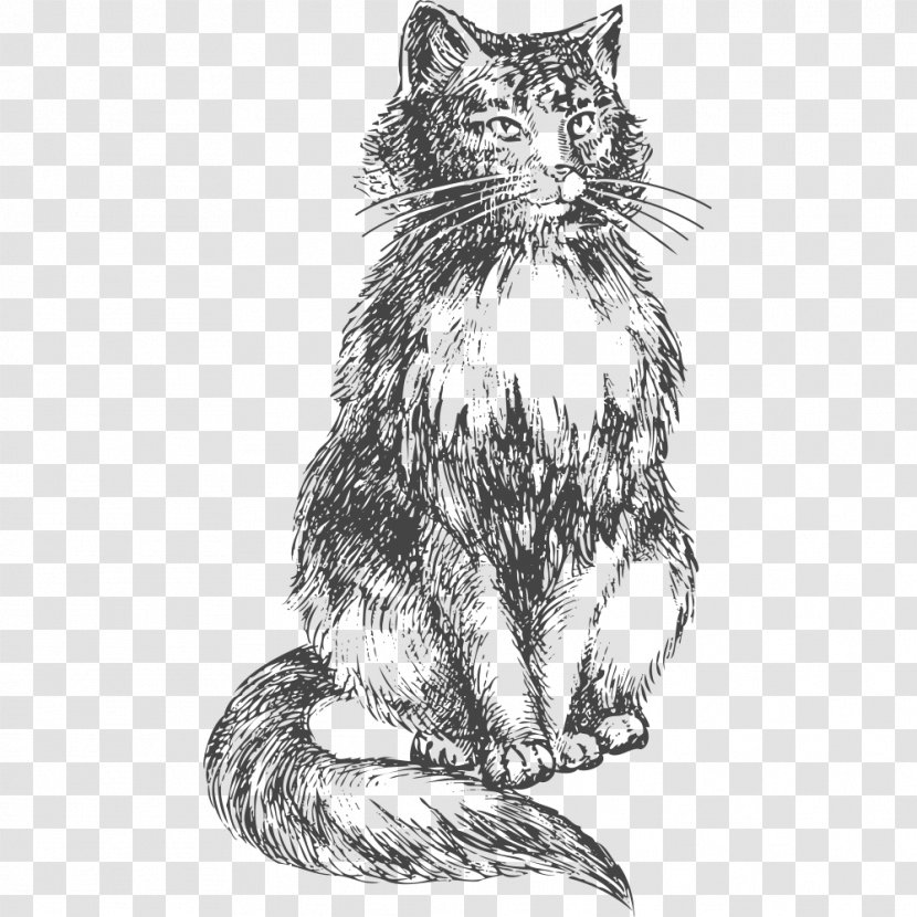 Cat Felidae Vector Graphics Stock Photography Illustration - Line Art - Black Kitten Transparent PNG