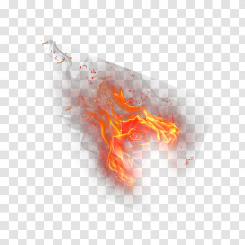 Tiger Flame Fire Image Heat - Digital Transparent PNG