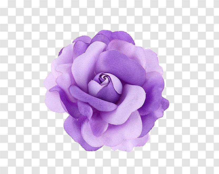 Violet Purple Flower - Rose Order Transparent PNG