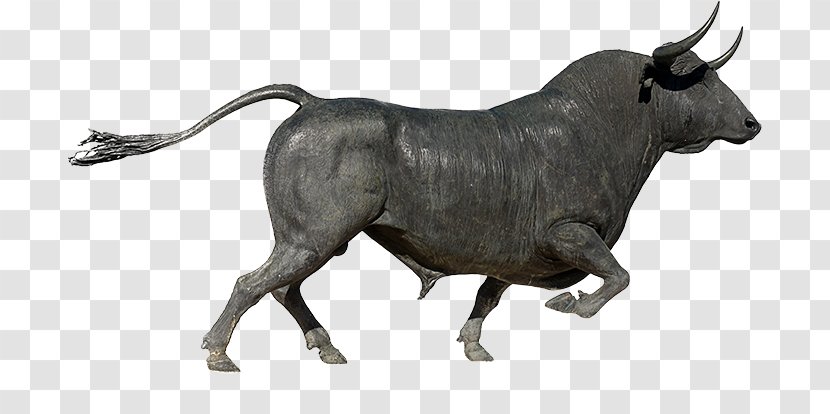 Plaza De Toros Ronda Bullring Cattle Spanish-style Bullfighting - Zebu - Bull Transparent PNG