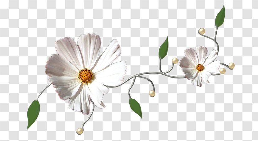 White Blog Clip Art - Flower - Branch Transparent PNG