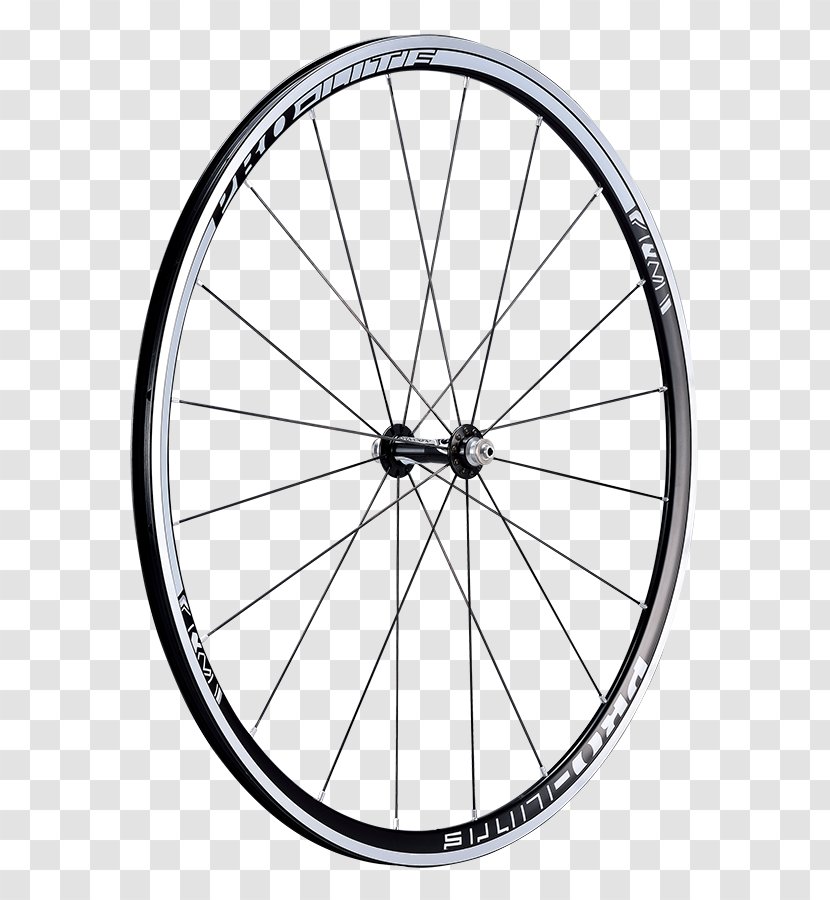 Bicycle Wheels Trek Corporation Mountain Bike - Road - Rome Surgery Transparent PNG