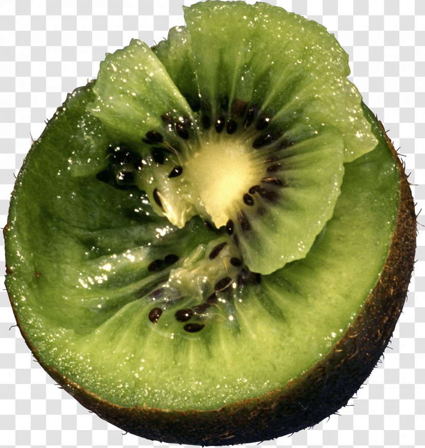 Kiwifruit Actinidia Deliciosa Chinensis - Kiwi Image Fruit Pictures Download Transparent PNG