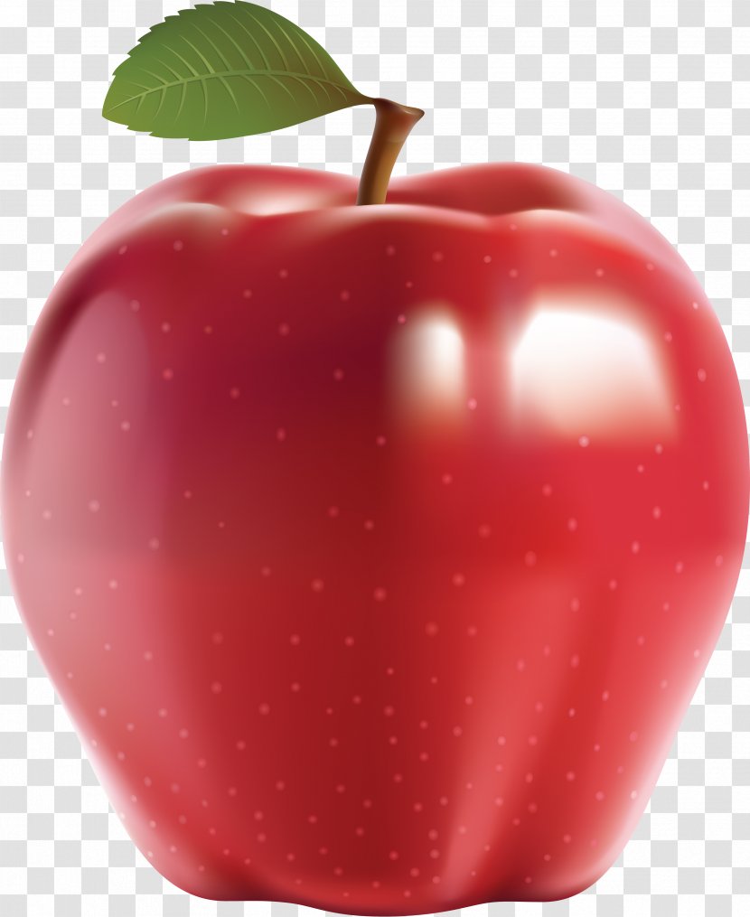 Apple Clip Art - Plant Transparent PNG