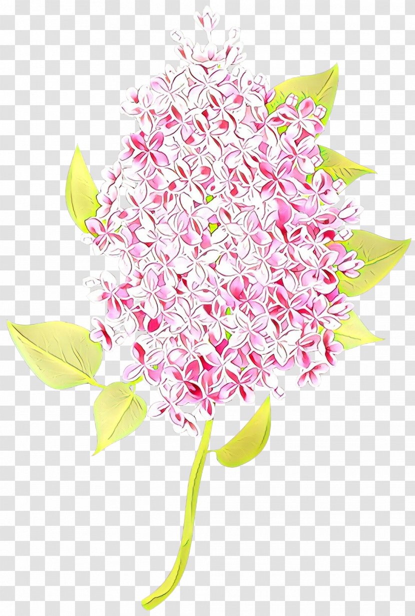 Pink Flower Plant Cut Flowers Anthurium Transparent PNG