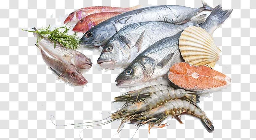 Sustainable Seafood Fish Processing Salmon - Meat Transparent PNG