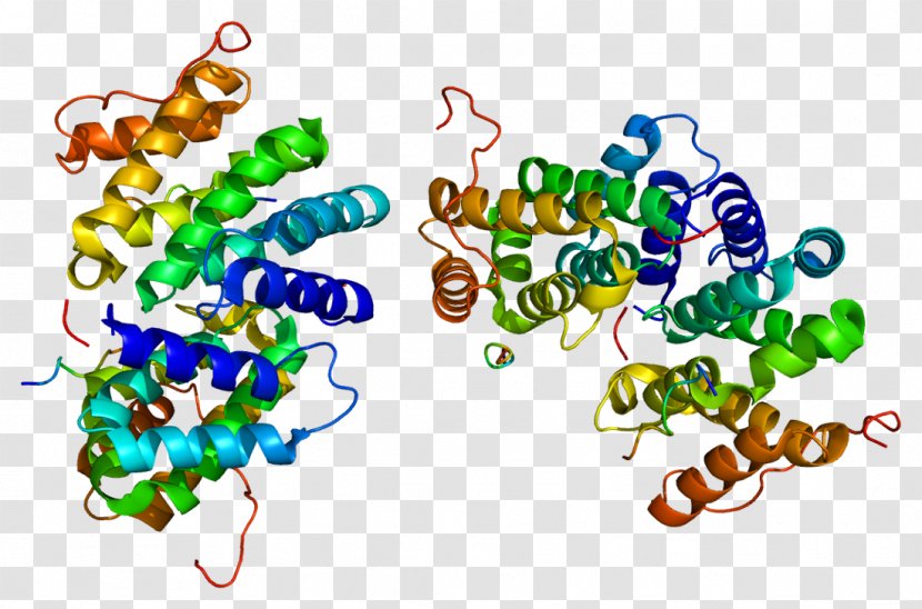 SENP1 GGA3 SUMO Protein Protease - Flower - Watercolor Transparent PNG