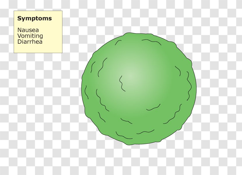 Sphere - Green - Design Transparent PNG