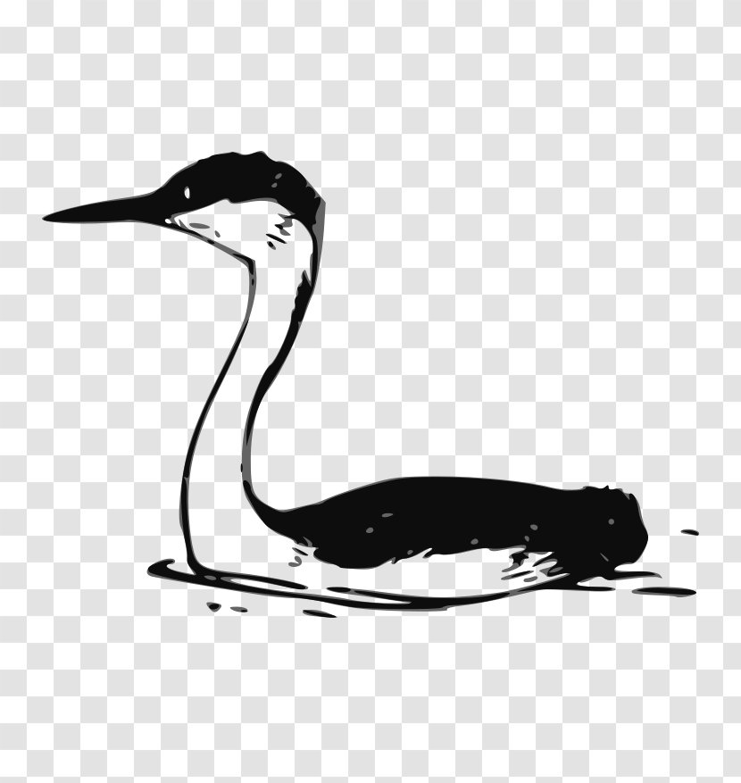 Water Bird Drawing Clip Art - Western Transparent PNG