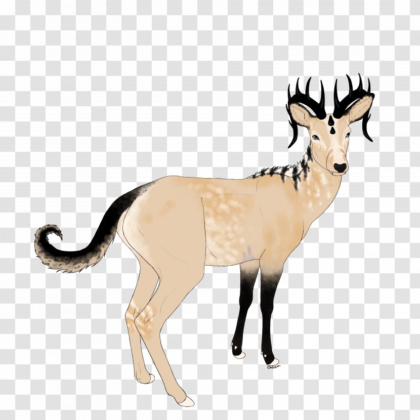 Antelope Deer Goat Horn Wildlife - Animal - Grey Eye Transparent PNG