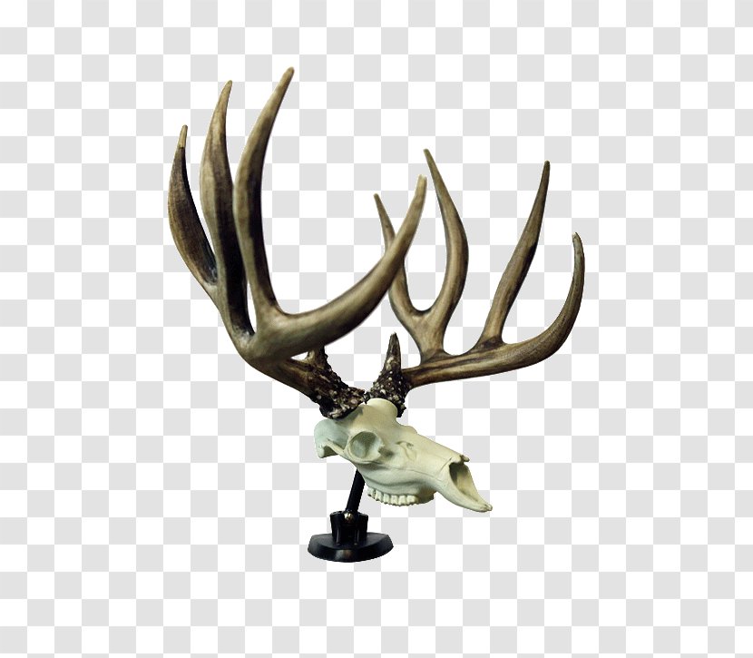 Antler Reindeer Symbol - Logo - Deer Transparent PNG
