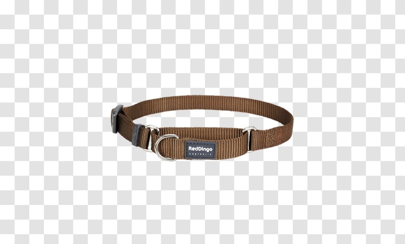 Dingo Dog Collar Martingale Leash - Cat Transparent PNG