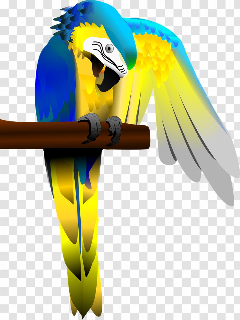 Parrot Bird Heron Blue-and-yellow Macaw - Perico Transparent PNG