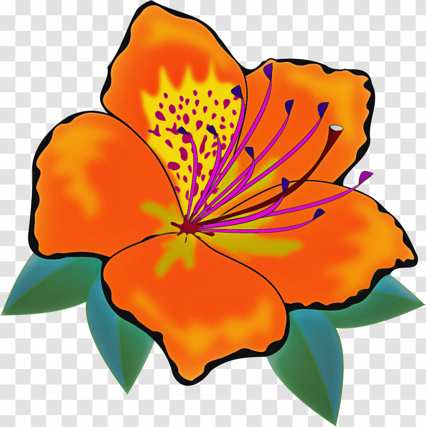 Orange Transparent PNG