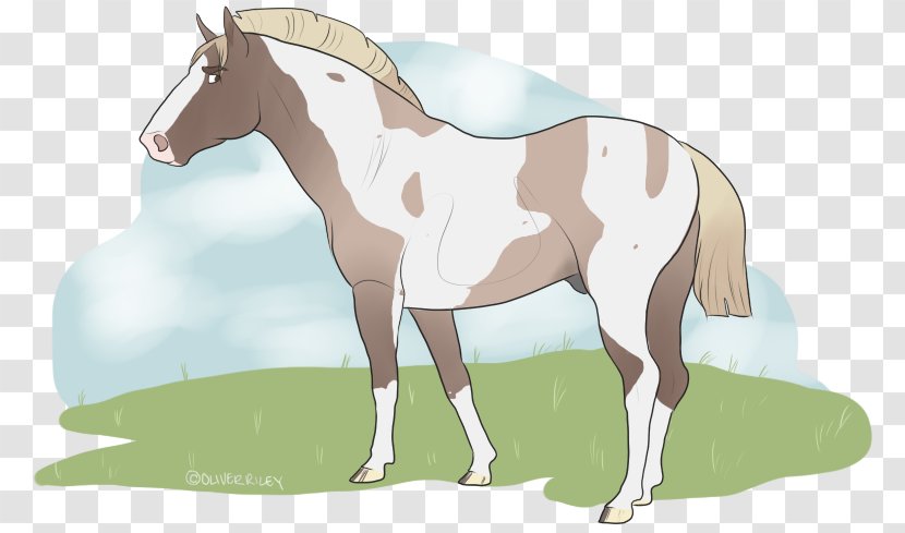 Foal Mane Stallion Mustang Colt - Halter - Summer Solstice Transparent PNG