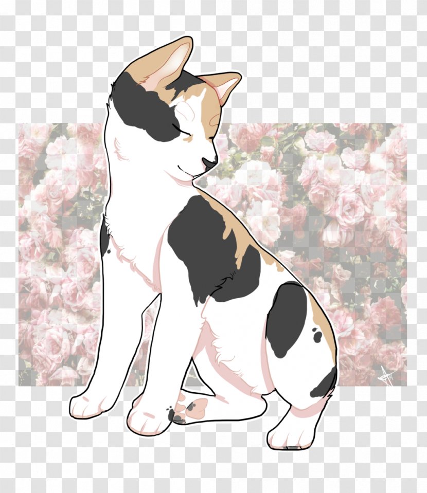 Whiskers Kitten Dog Fur - Watercolor Transparent PNG