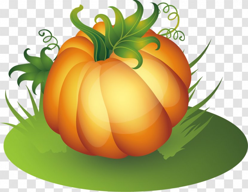 Pumpkin Thanksgiving - Drawing - Creative Transparent PNG