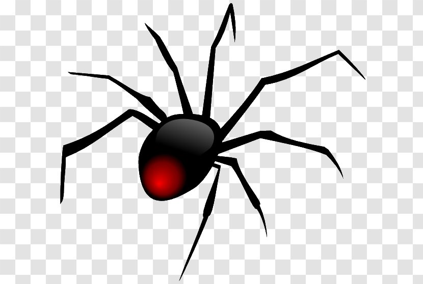 Spider Clip Art - Southern Black Widow Transparent PNG