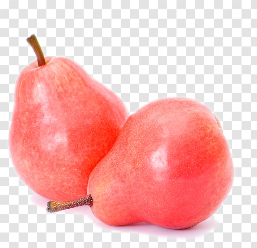 Pyrus Xd7 Bretschneideri Fruit Pear - Food - Sydney Transparent PNG