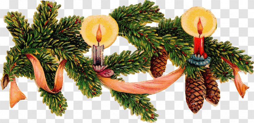 Christmas Clip Art - Spruce - Pine Cone Decoration Material Transparent PNG
