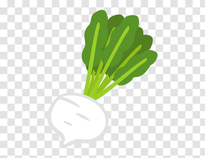Leaf Vegetable Turnip - Grass Transparent PNG