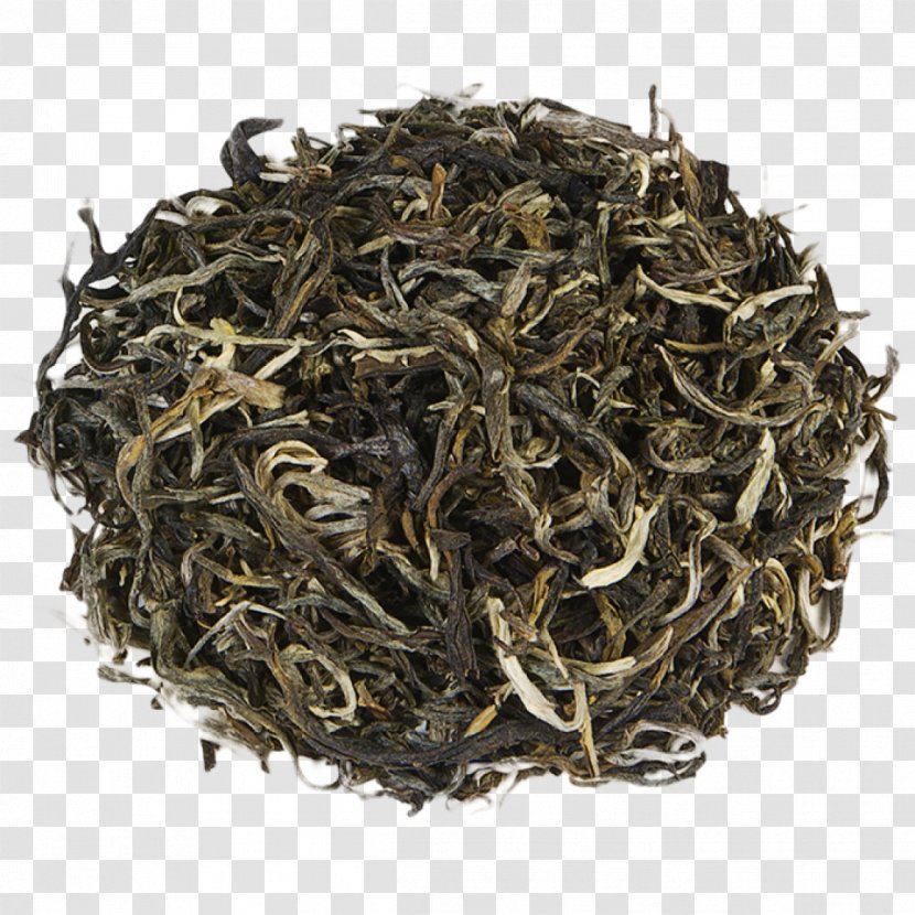 Dianhong Gunpowder Tea Oolong White Nilgiri - Sencha - Green Transparent PNG