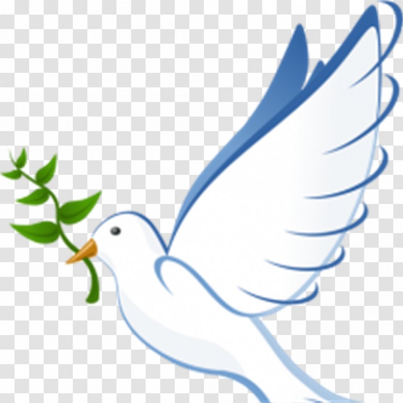 Pigeons And Doves Clip Art Email As Symbols Peace - Drawing - Dove Clipart Transparent PNG