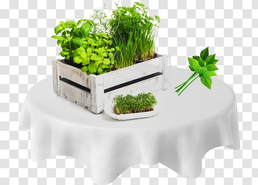 Fines Herbes Vegetarian Cuisine Spice Parsley - Vegetable Transparent PNG