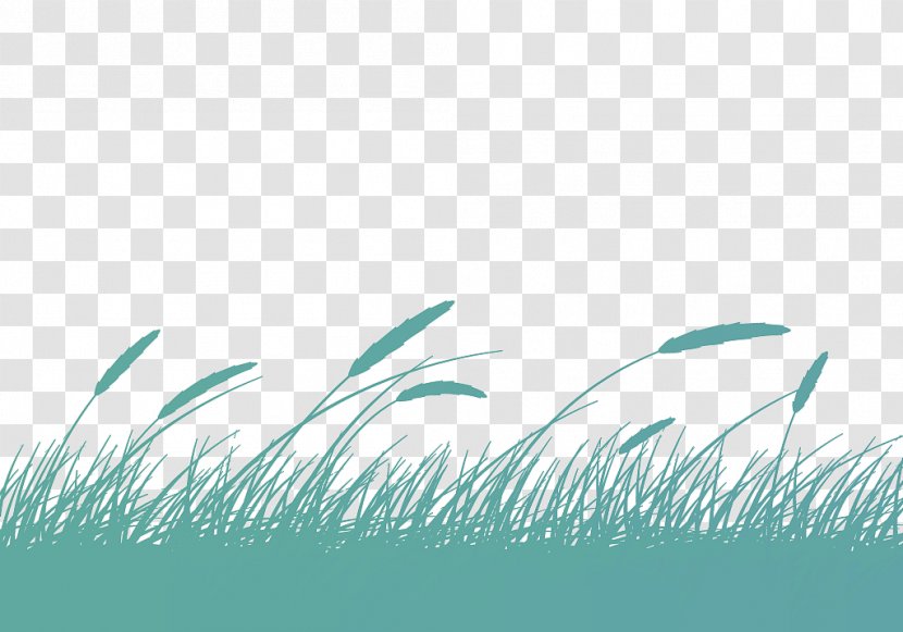 Drawing Cartoon Illustration - Aqua - Vector Illustrations, Fresh Breeze Blowing Wheat Transparent PNG