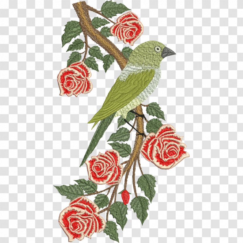 Garden Roses Bird Diamond Firetail Beautiful Red-browed Finch - Flowering Plant - Silver Square Transparent PNG