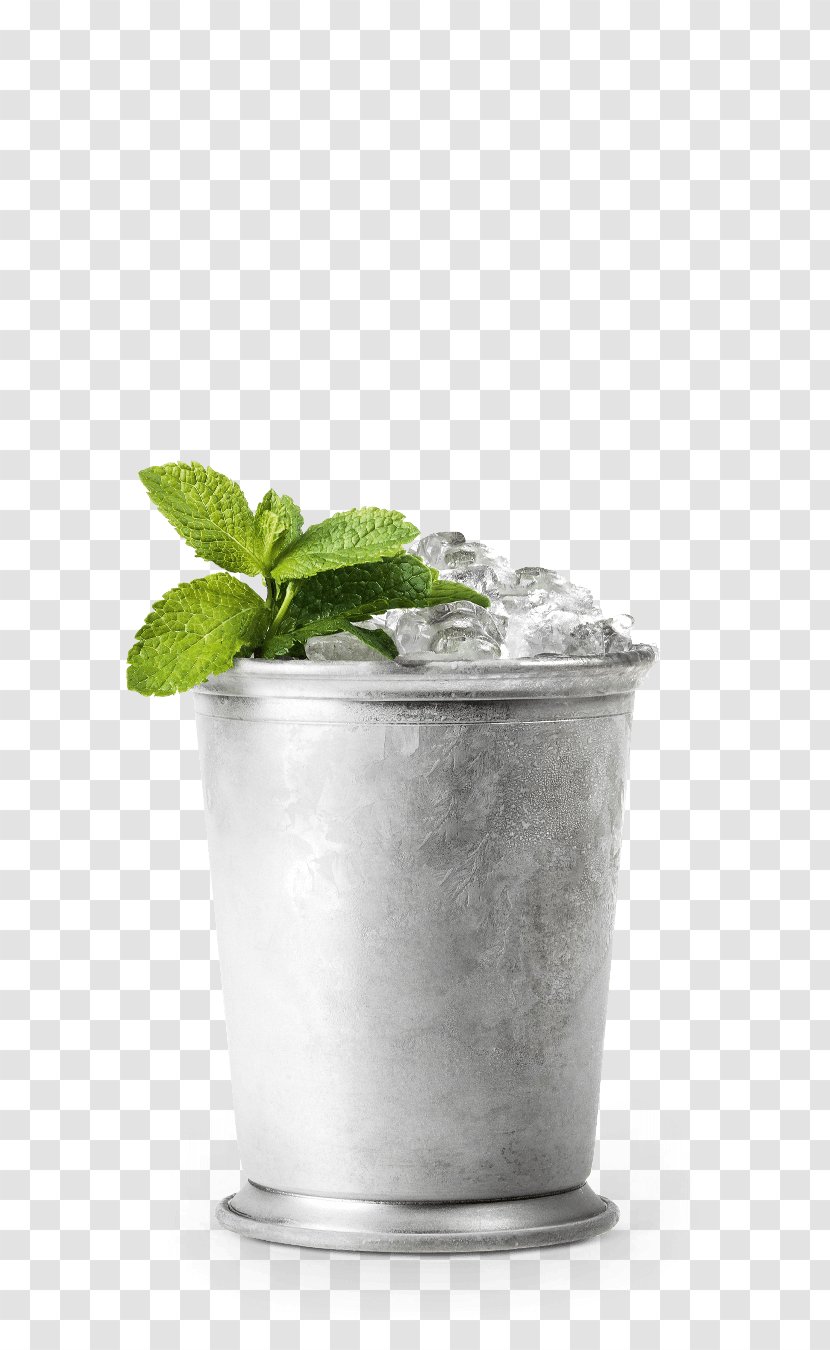 Schladerer Mint Julep Fruit Brandy Mojito Tom Collins - Red Raspberry Transparent PNG