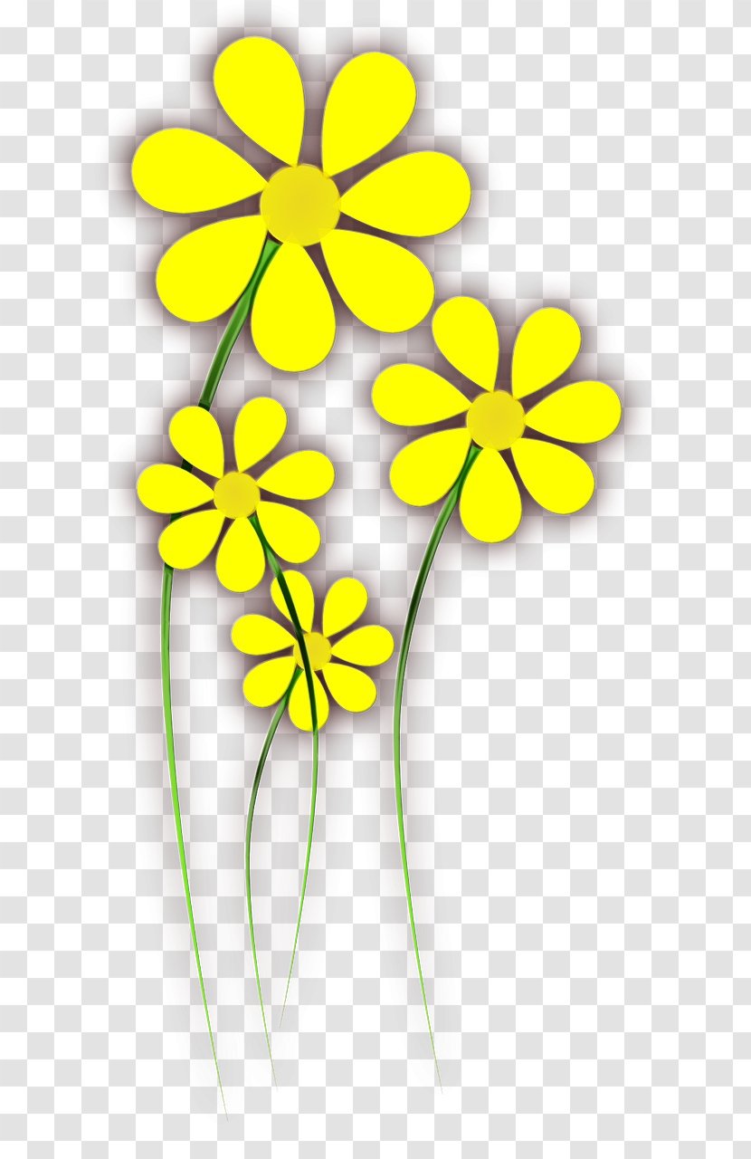 Flowers Background - Flower - Plant Stem Pedicel Transparent PNG