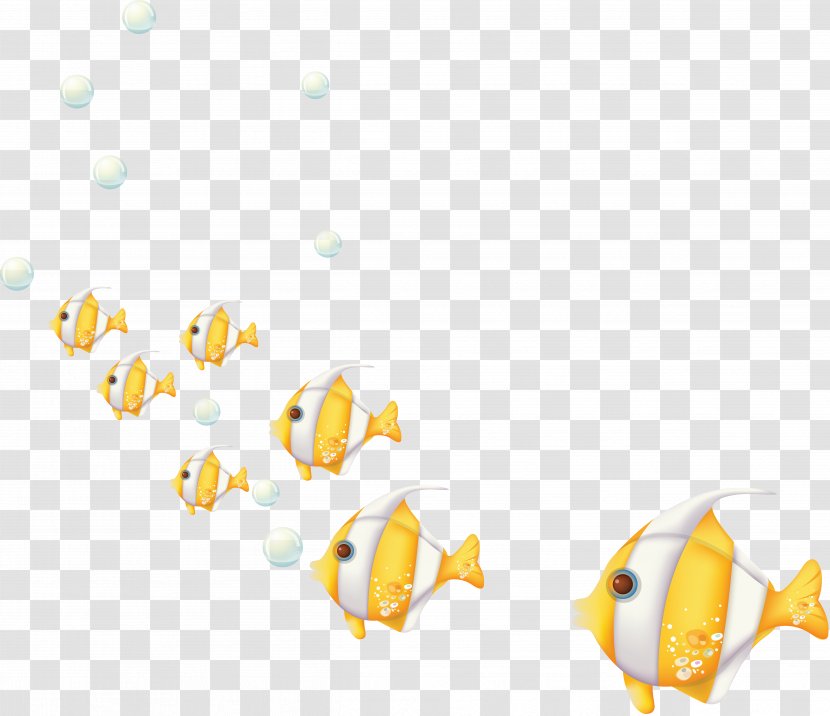 Fish Marine Biology Seabed Clip Art - Animal Transparent PNG