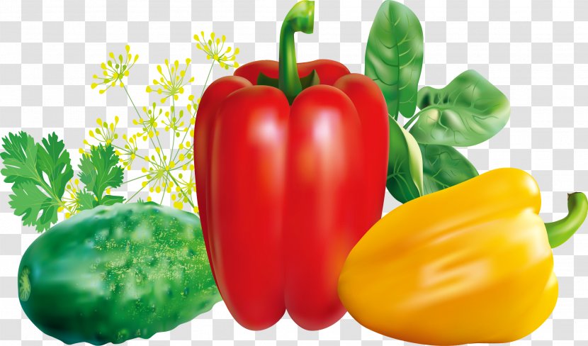 Chili Pepper Red Bell Vegetable - Peperoncini - Daquan Transparent PNG