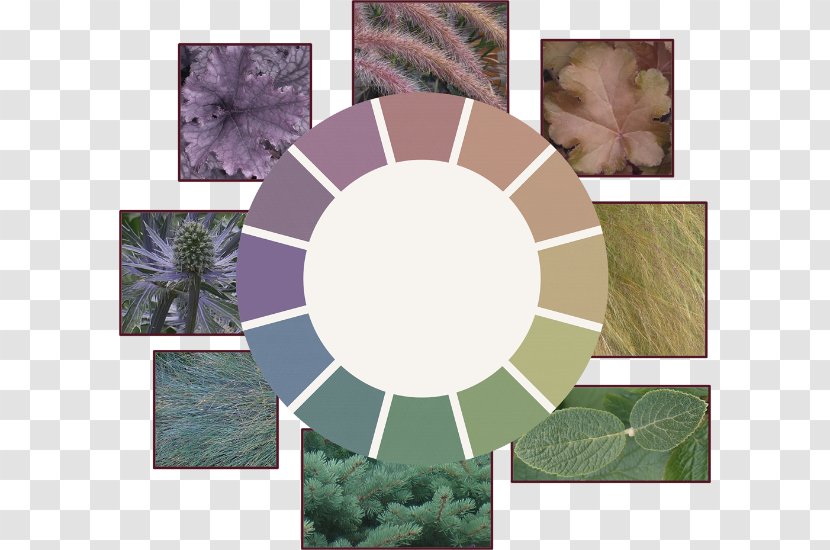 Color Wheel Complementary Colors Scheme Primary - Purple - Design Transparent PNG