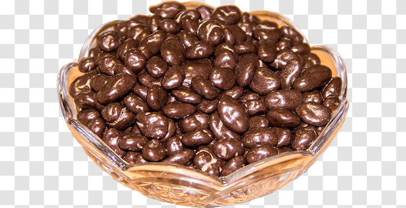 Chocolate-coated Peanut Praline Vegetarian Cuisine - Nuts Seeds - Chocolate Transparent PNG