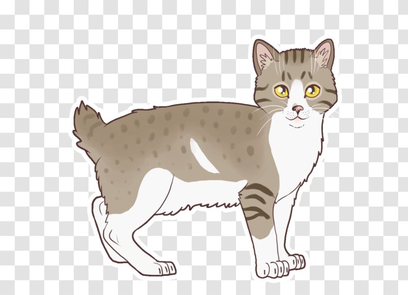American Shorthair Wirehair California Spangled Ocicat Manx Cat - Felidae - Altair Cartoon Transparent PNG
