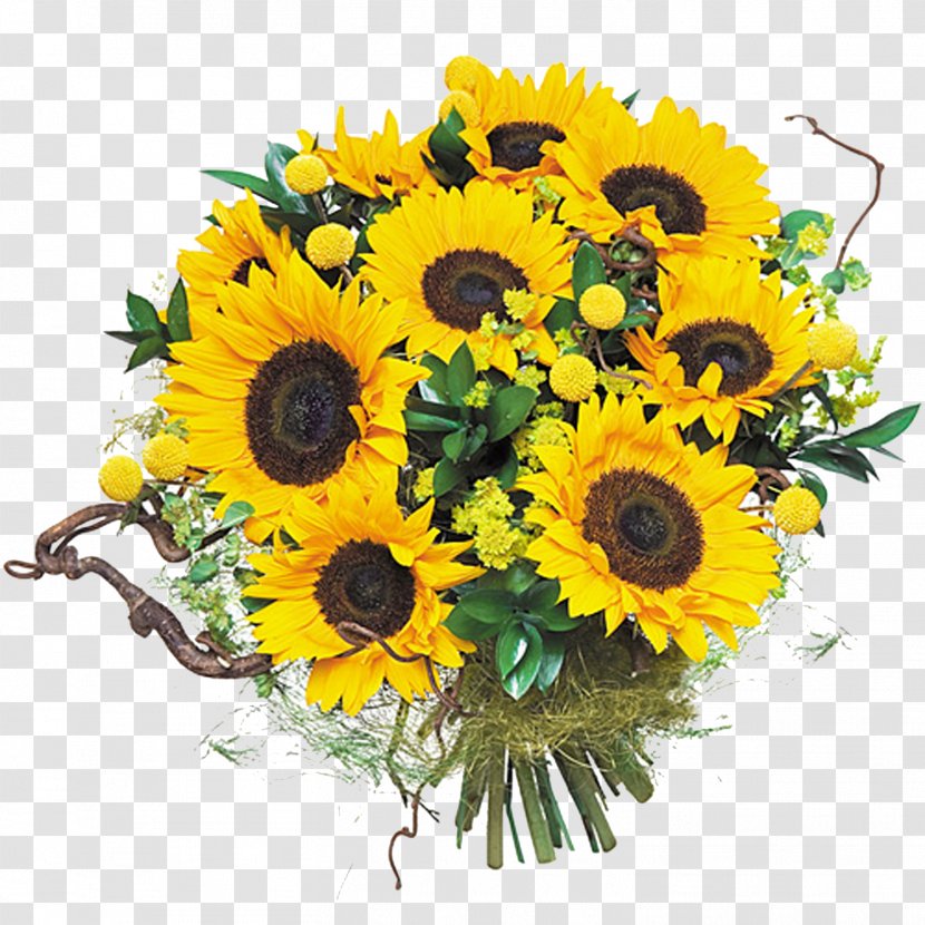 Common Sunflower Flower Bouquet Floral Design Cut Flowers - 19 Mayis Transparent PNG