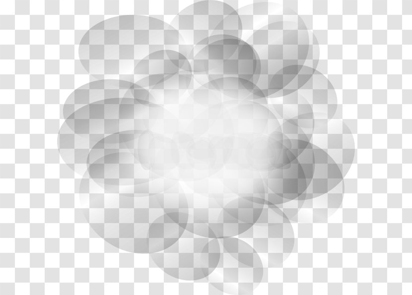White Circle Pattern - Petal - Stea Cliparts Transparent PNG