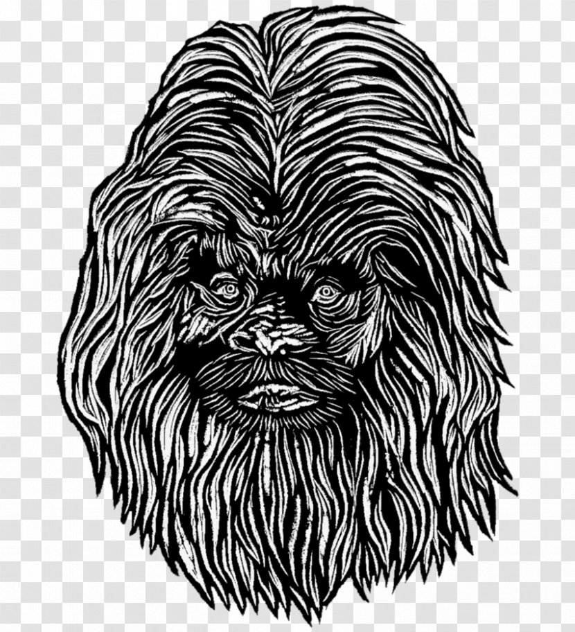 Affenpinscher Cairn Terrier Dog Breed Whiskers Snout - Tree - Sasquatch Transparent PNG