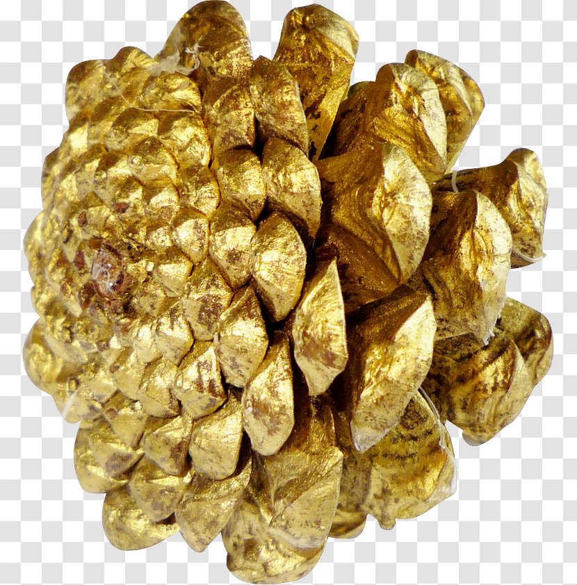 Gold Gum Arabic Transparent PNG