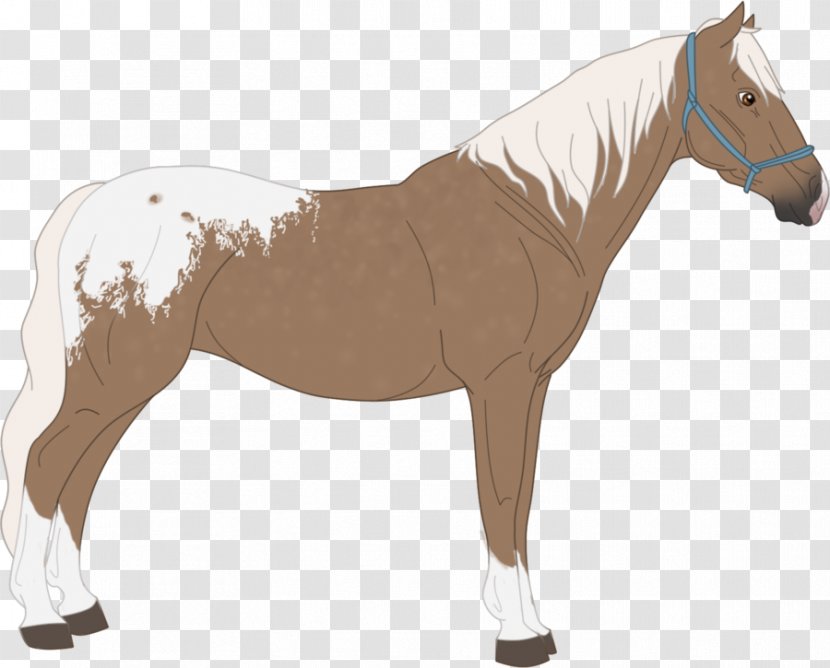 Mane Mustang Stallion Mare Rein - Horse Harness Transparent PNG